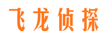 永城市调查公司